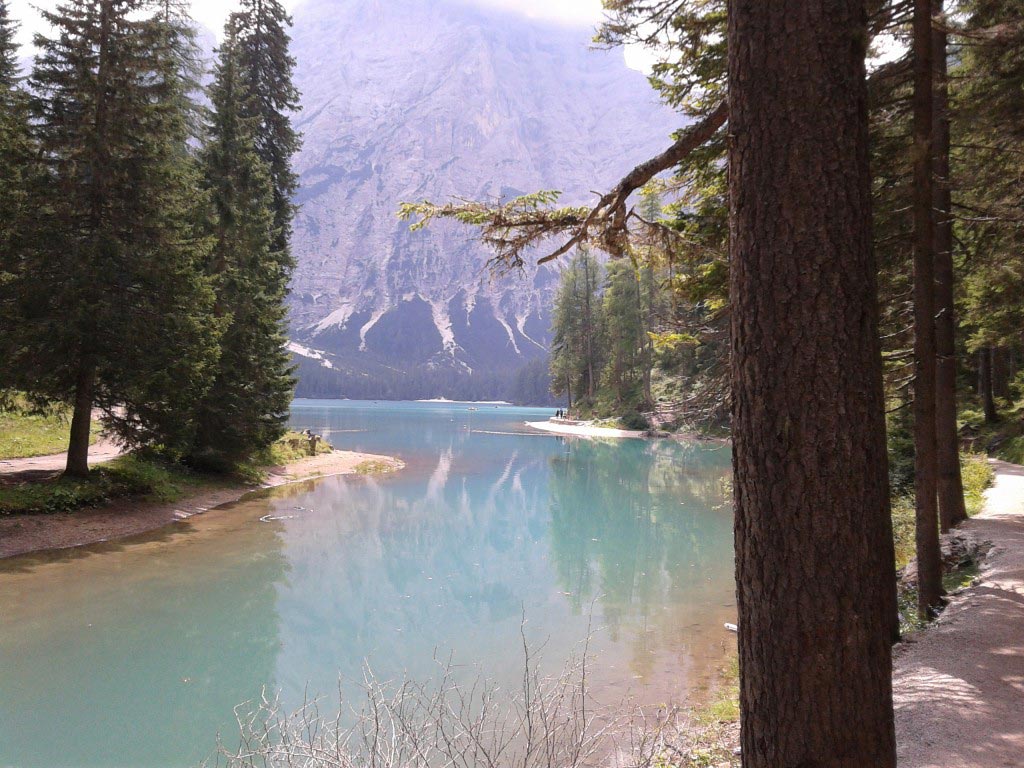 Lago di Misurina tra gli alberi con montagna sullo sfondo