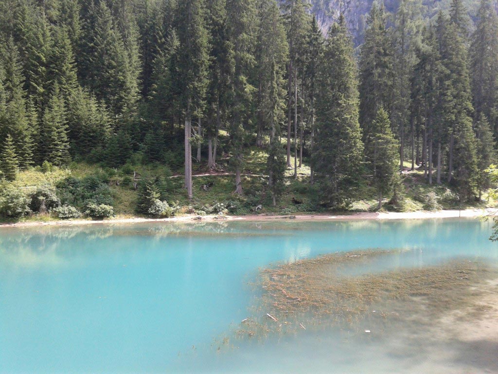 Lago azzurro con alberi sullo sfondo