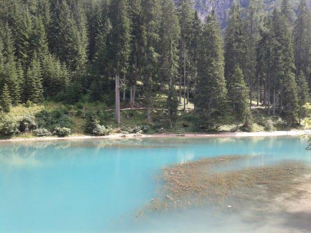 Lago di Misurina Lago azzurro con alberi sullo sfondo