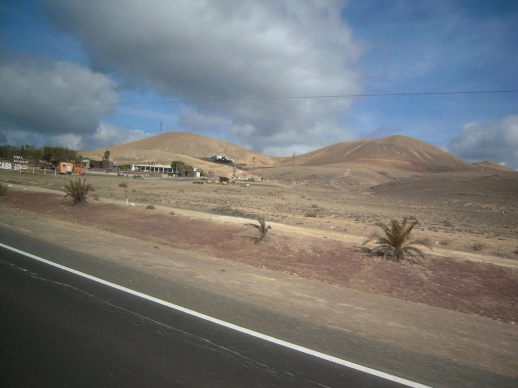 Strada con territorio deserto e ciuffi di cactus