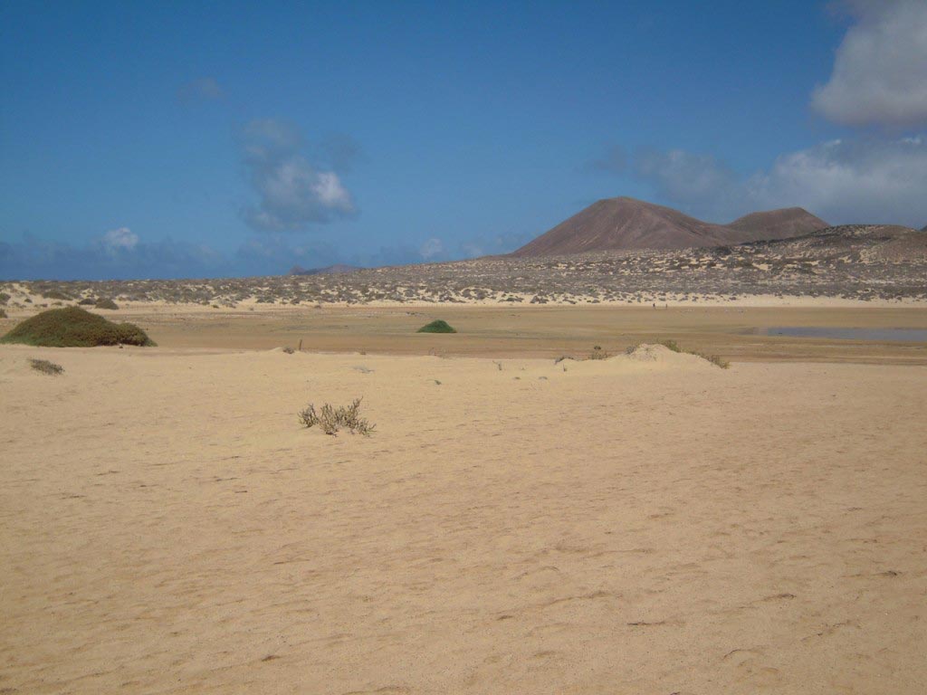 Terreno desertico con vulcani sullo sfondo