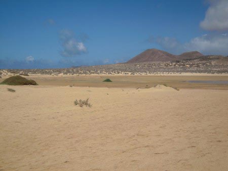 Lanzarote - Graciosa 03 Terreno desertico con vulcani sullo sfondo