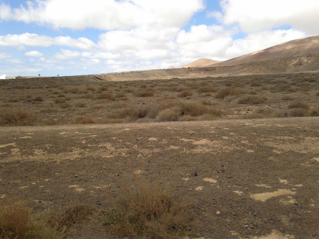Terreno roccioso con ciuffi d'erba gialla