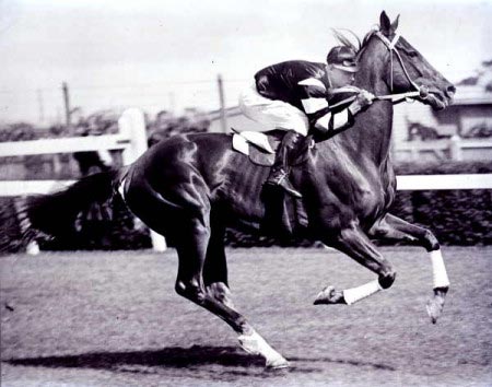 Foto del cavallo Phar Lap in corsa