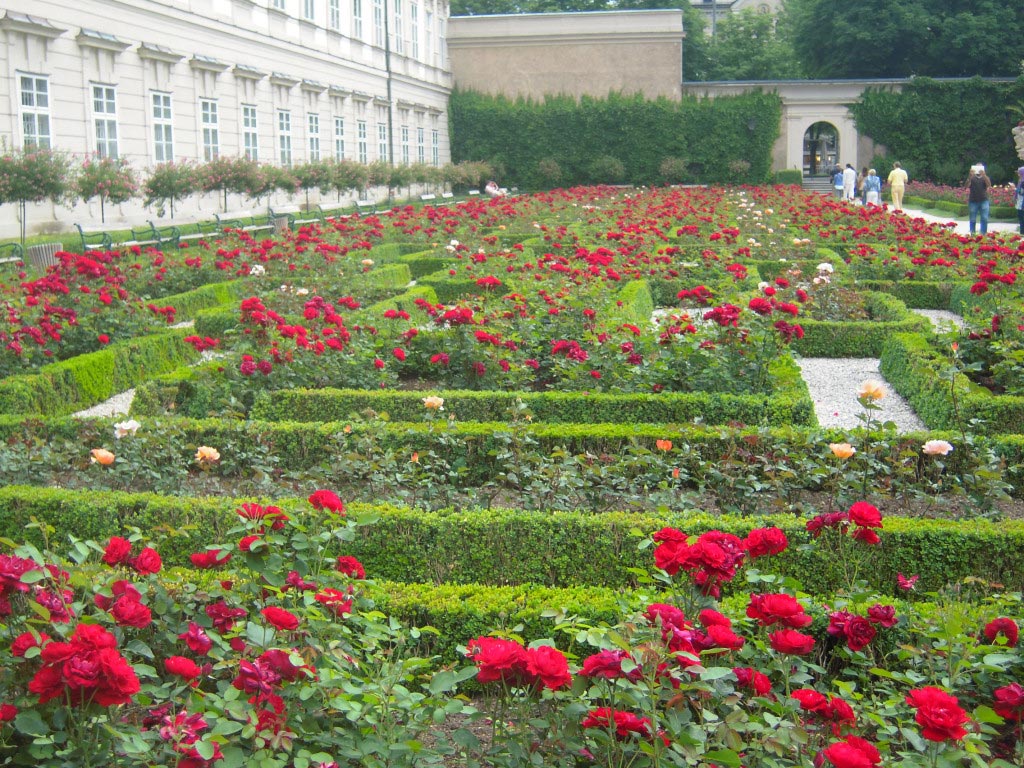 Il viale di rose dei Giardini Mirabell