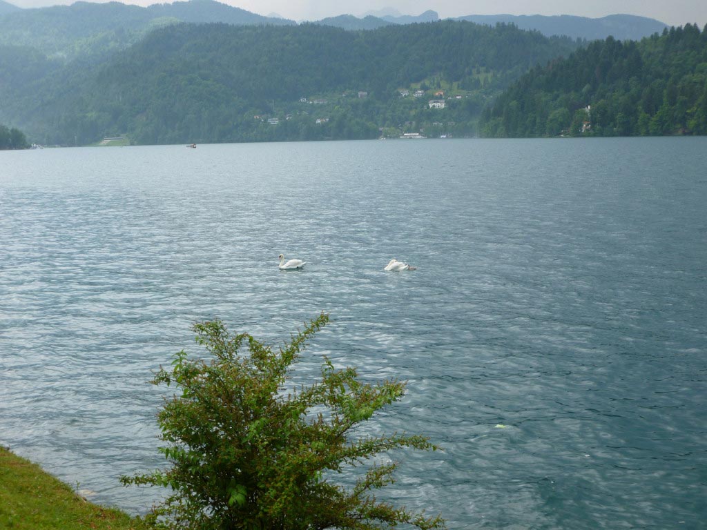 Slovenia - Lago di Bled