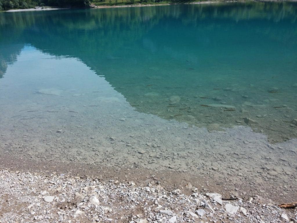 Lago di Tenno - pesci a riva