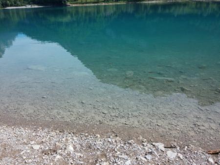 Lago di Tenno - pesci a riva Lago di Tenno - pesci a riva